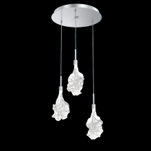 Hammerton CHB0059-03-CS-BC-C01-L3 - Blossom Round 3pc Multi-Pendant