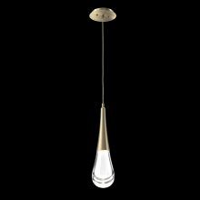 Hammerton LAB0078-01-HB-C-C01-L1 - Raindrop Pendant