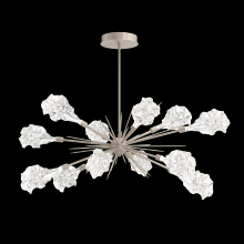 Hammerton PLB0059-0A-BB-BC-001-L1 - Blossom Oval Starburst - 0A