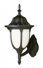 Trans Globe 4041 BK - 1LT WALL-MED-OUTD-OPAL GLASS